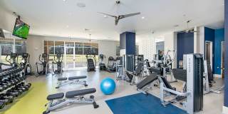 Linq at North Springs Gallery 30