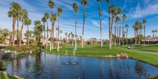 38061 Crocus Lane Gallery 2