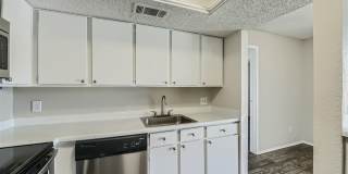 Rise Spring Pointe Gallery 113