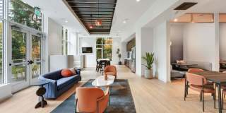 Cielo Apartments Gallery 41