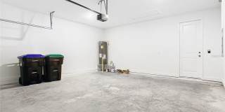 11165 GREEN CITRON Alley Gallery 41