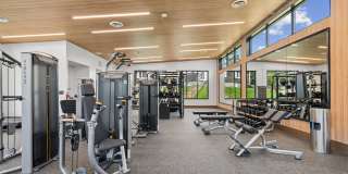 Halpine View Gallery 27