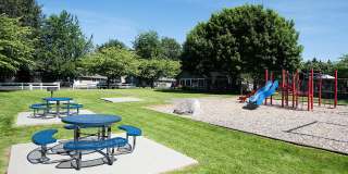 ReNew Dash Point Gallery 55