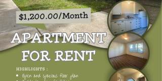 (PEA 414) 10th & Lawrence ~ 1 Bed/1 Bath Gallery 1