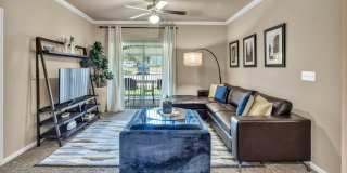 Belterra Springs Gallery 16
