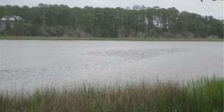 276 Harris Creek Road Gallery 8