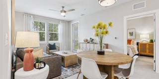 Eastshore Palm Bay Gallery 2