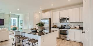 Paired Home in Dove Village: Spire 2 Story 3 Bed, 2.5 Bath Home with Upgrades Gallery 9