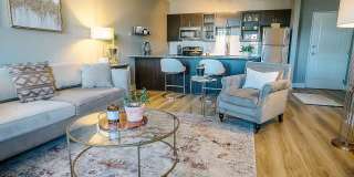 The Corvina Gallery 6