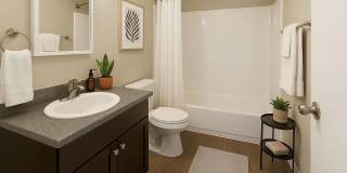 Raleigh Apartments Gallery 6