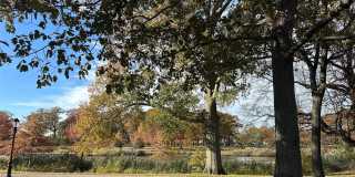 231-10 145 Avenue Gallery 21