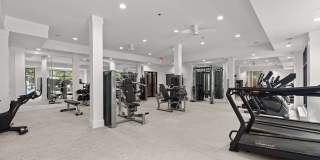 Cortland Oleander Gallery 25