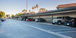 Tierra Palms Gallery 16