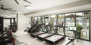 Scottsdale on Main Gallery 10