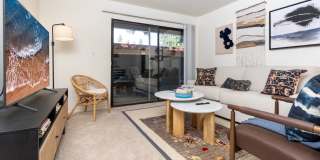 Citrus Place Gallery 2