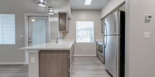 Olympus at Ten Mile Gallery 20