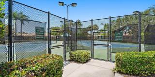 4526 Illicium Drive Gallery 48