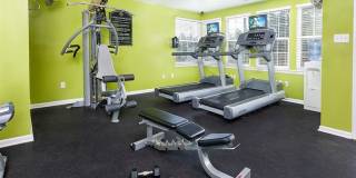 Addison Crater Woods Gallery 21