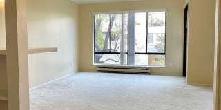 Sunny Studio in Resort Setting on the Bay 15 minutes from SF Gallery 17