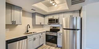 Rise Spring Pointe Gallery 41