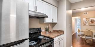 Royal Palms Gallery 3