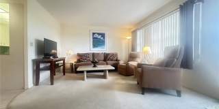 4037 Harwood D Gallery 6