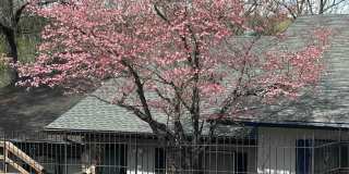16 Akokisa Drive Gallery 1