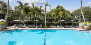 Coconut Palm Club Gallery 7