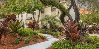 The Flats at Seminole Heights The Flats at Seminole Heights Gallery 33