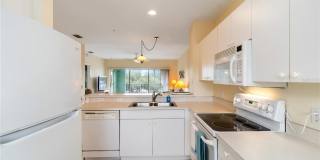 19385 WATER OAK DRIVE Gallery 7