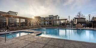 The McKenzie Gallery 19