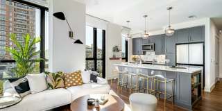 Aster Aster Gallery 24