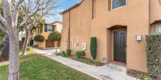 27931 Cactus Gallery 1