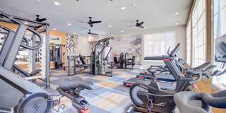 Sendero Trace Gallery 4