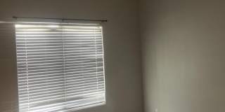 Portales Gallery 7