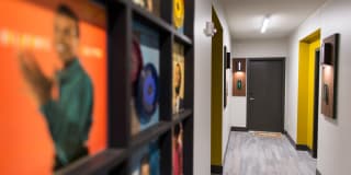 Pinnex Gallery 49