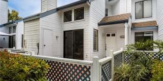115 Fallingstar Gallery 18