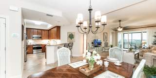 Amberjack Way 10521 #303 Gallery 7