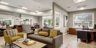 ReNew Waltham Gallery 15