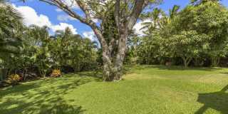 Diamond Head Luxury Home w/Pool, AC, Lanai Gallery 40