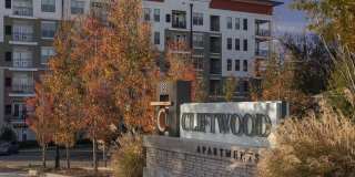 The Cliftwood Gallery 8