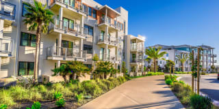 Coastline Ventura Gallery 19