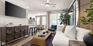 Vinoy St Johns Gallery 2