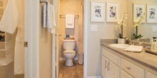 Cassia Apartments Gallery 10