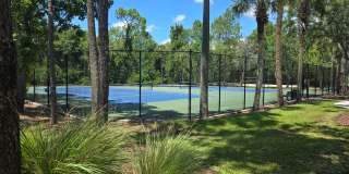 Freshly Painted 4BR/2BA Pool Home with Screened Pool & Spa – Move-In Ready! Gallery 10