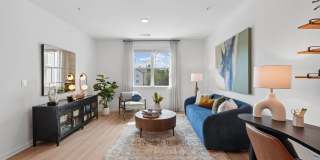 Alexan Brandywine Gallery 18