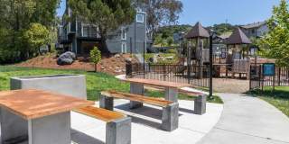 Finch at Larkspur Gallery 20