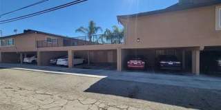 811 Orchid Court Gallery 3