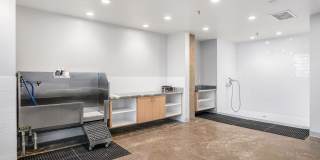 Karve on Broadway Gallery 19