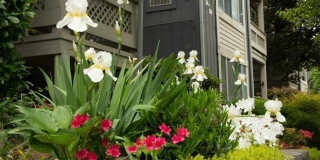 916 WINDBROOKE Drive unit: 916 Gallery 1